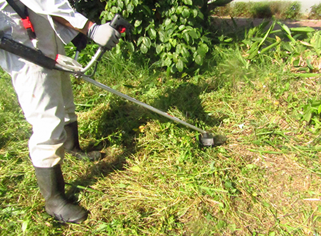 草刈り・草むしり・除草・剪定